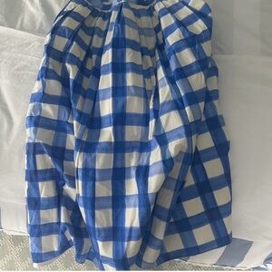 Zara Blue and White gingham Skirt